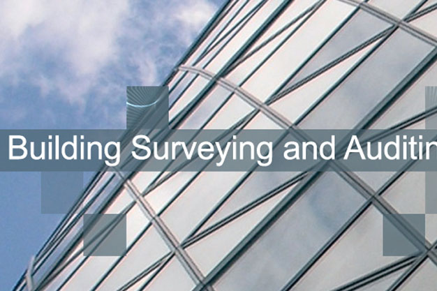 Building Surveying & Auditing