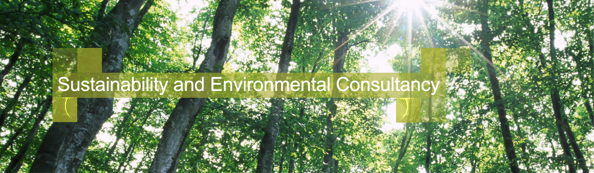 Sustainability & Environmental Consultancy