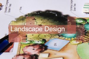 landscape design
