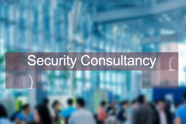 security consultancy